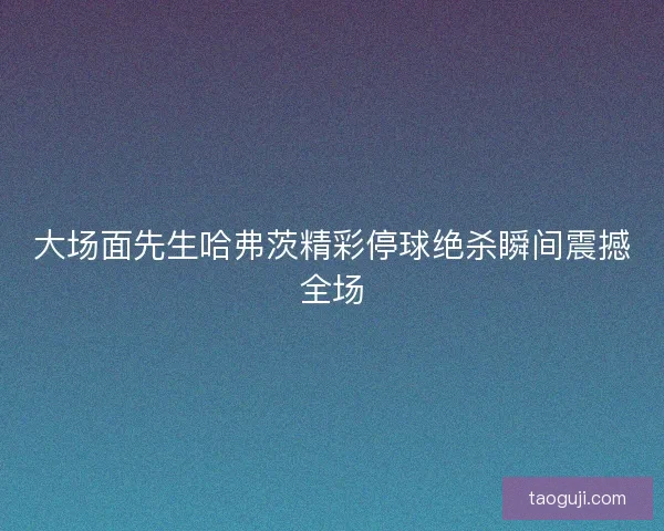 大场面先生哈弗茨精彩停球绝杀瞬间震撼全场 大场面先生哈弗茨精彩停球绝杀瞬间震撼全场